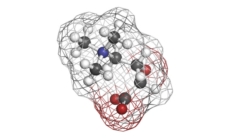 L-Carnitine